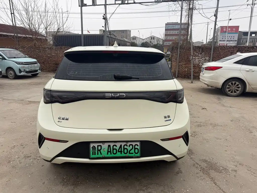 BYD DOLPHIN