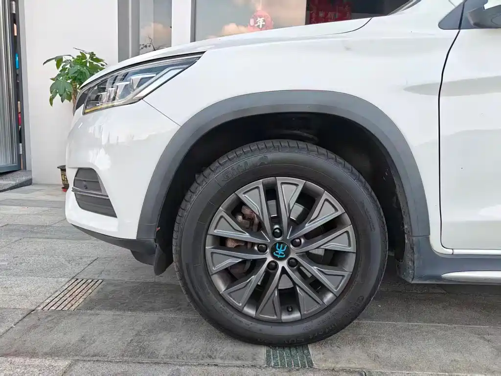 BYD New Energy — миниатюра 4