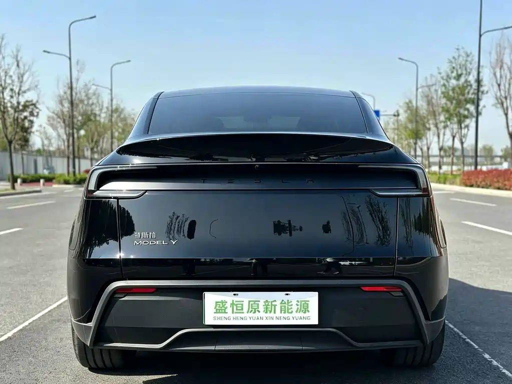 Tesla Model Y — миниатюра 3