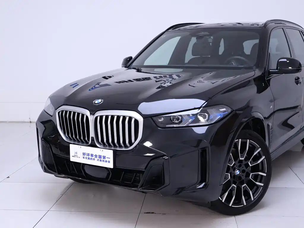 BMW X5 — миниатюра 3