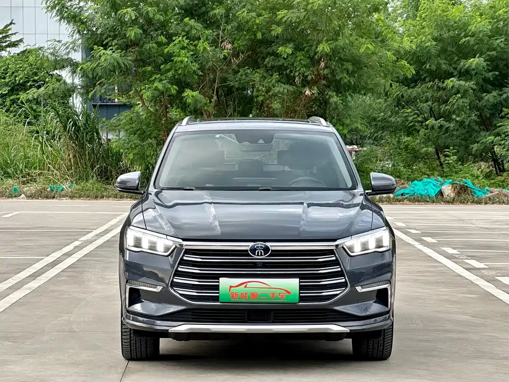BYD Pro New Energy — миниатюра 2