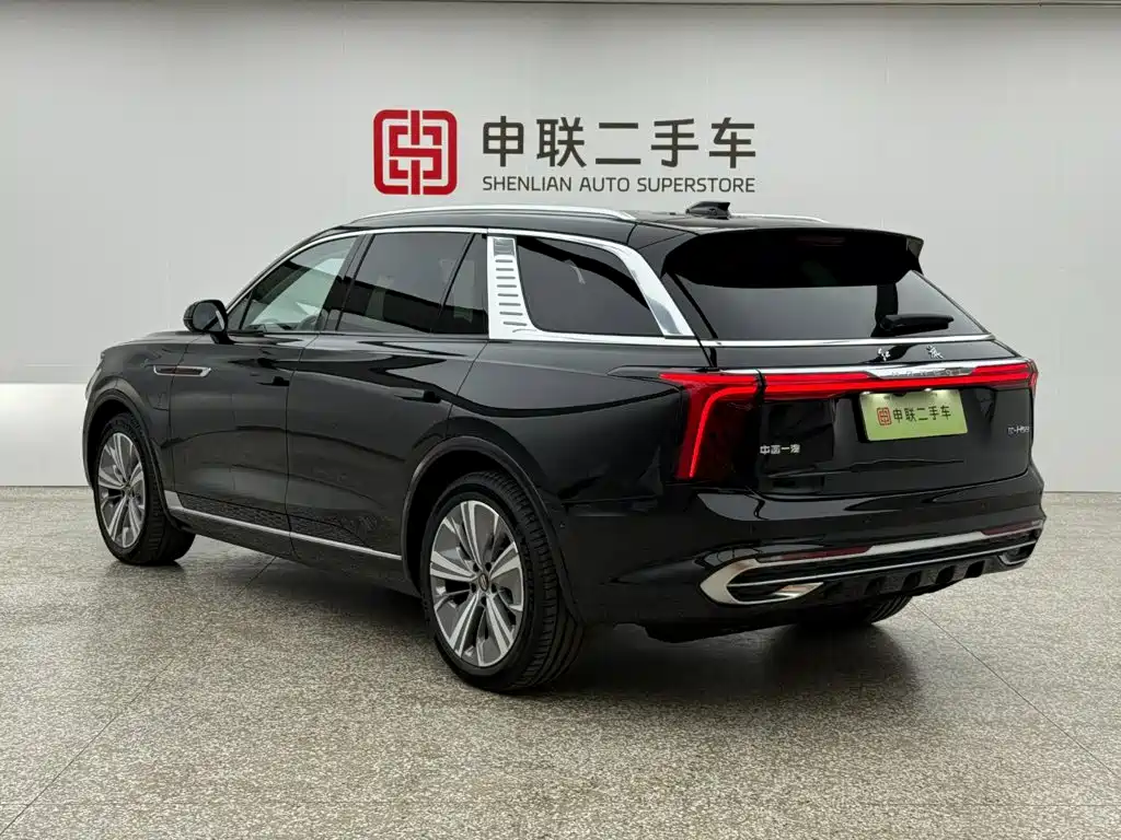 Hongqi Hongqi E-HS9 — миниатюра 2