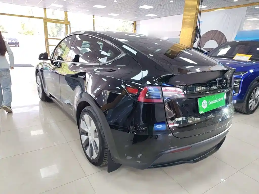 Tesla Model Y — миниатюра 5
