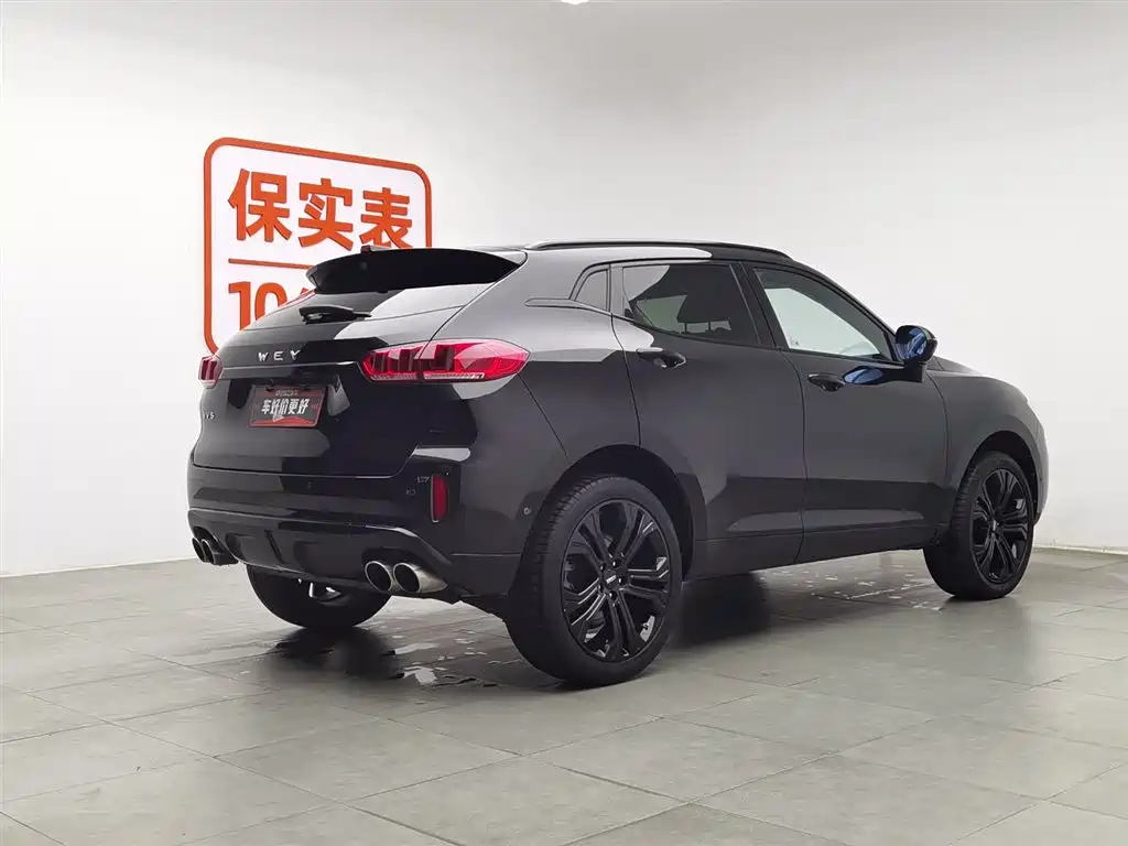 WEI PAI WEI BRAND VV5