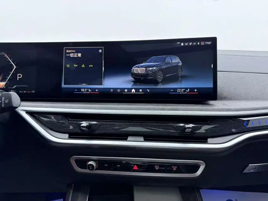 BMW X5 — миниатюра 18