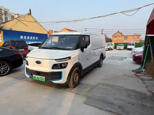 Karry DOLPHIN EV 2019