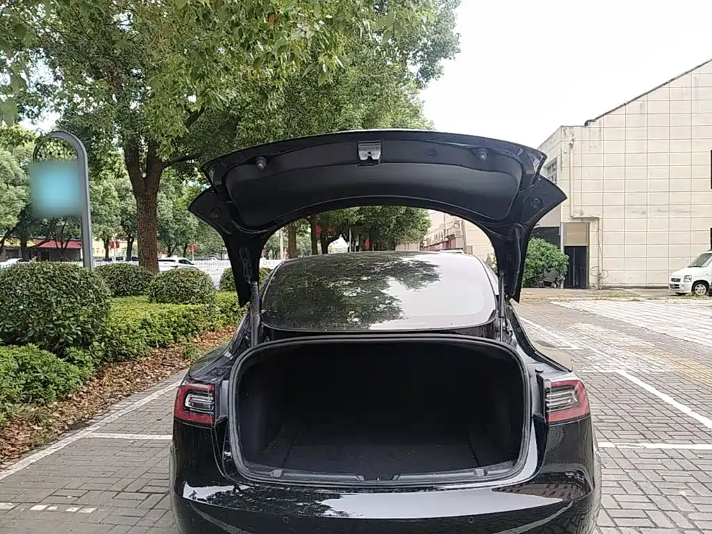 Tesla Model 3 — миниатюра 19