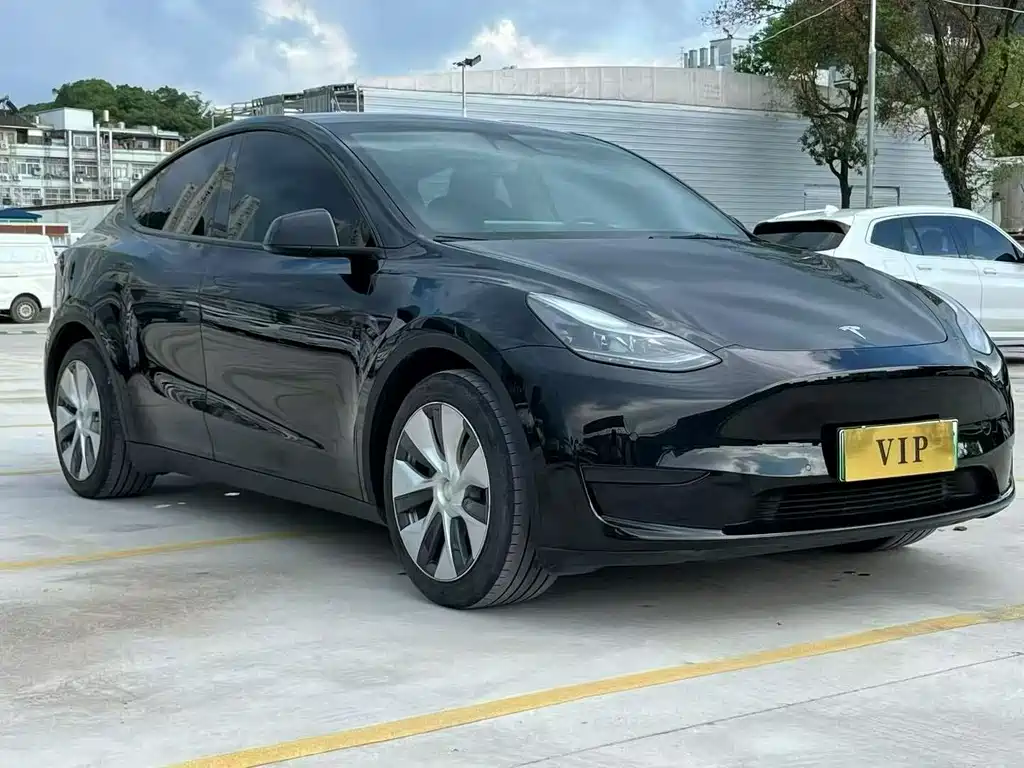 Tesla Model Y — миниатюра 3