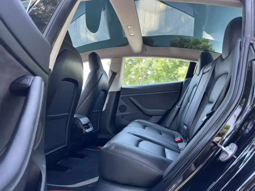 Tesla Model 3 — миниатюра 6