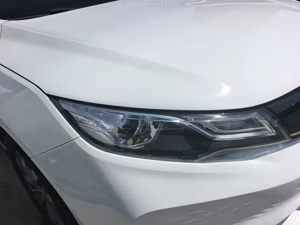 Geely Emgrand 2021 EV Pro