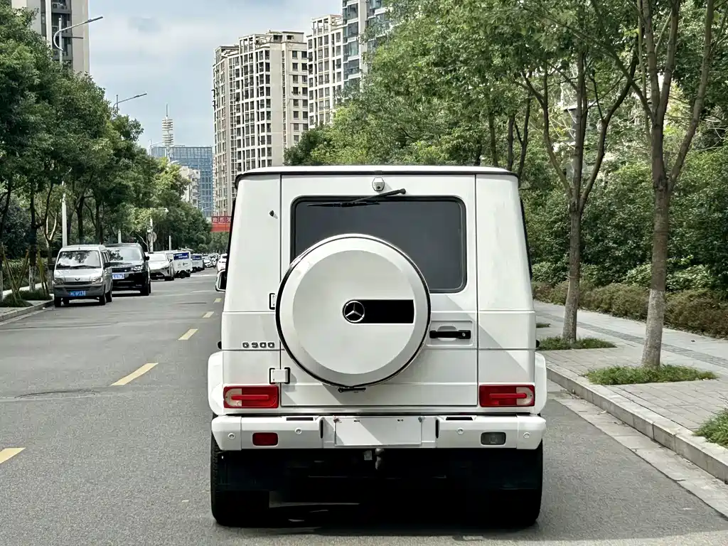 MERCEDES-BENZ G CLASS