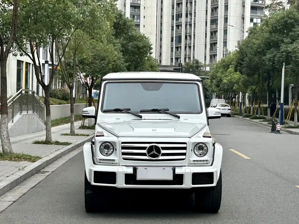 MERCEDES-BENZ G CLASS