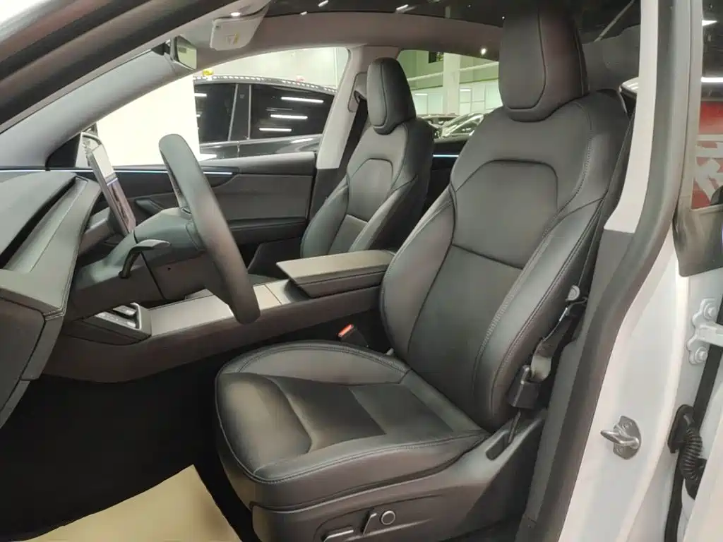 Tesla Model Y — миниатюра 15