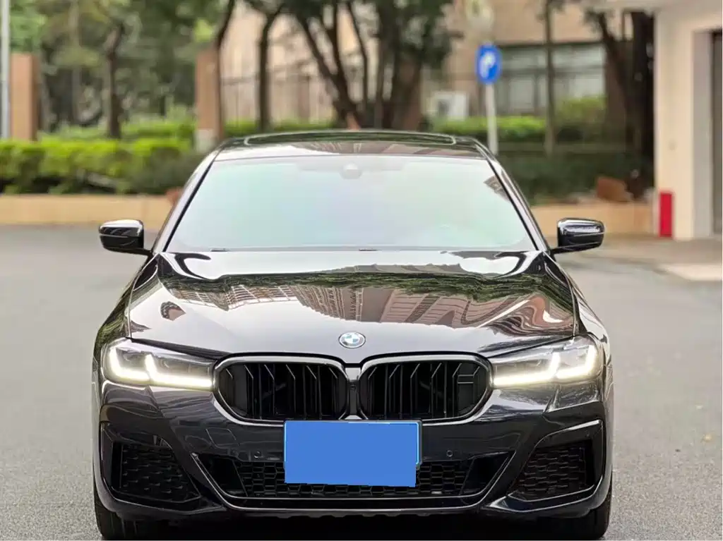 BMW 5 Series — миниатюра 2