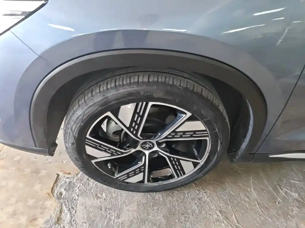 BYD Pro New Energy — миниатюра 23