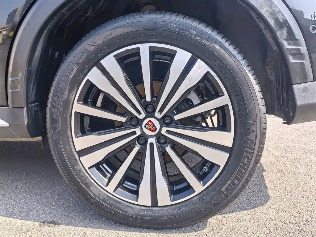 Roewe RX5 New Energy - фото 8