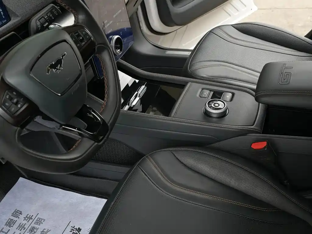Ford Mustang Mach-E — миниатюра 8