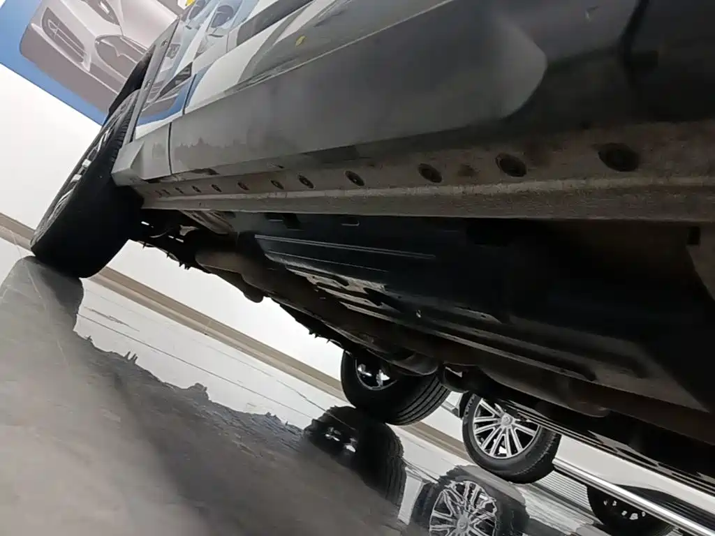 Haval Haval Big Dog PLUS — миниатюра 21