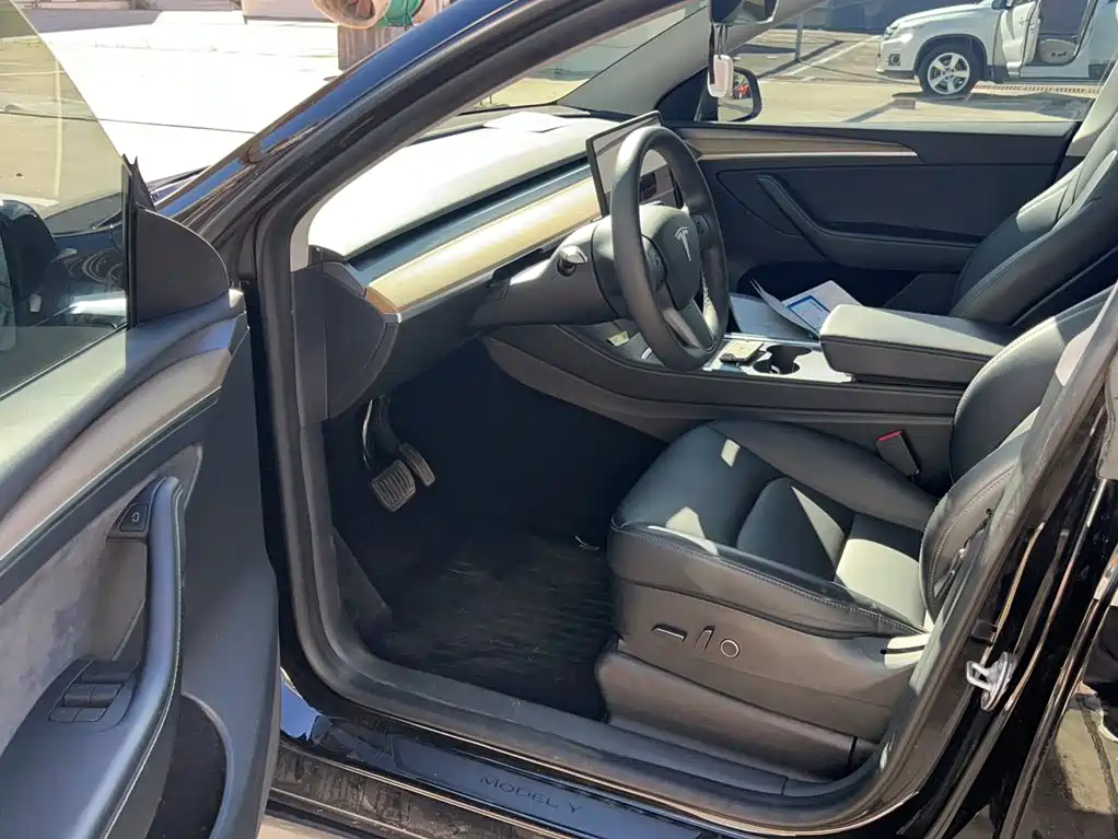 Tesla Model Y — миниатюра 14