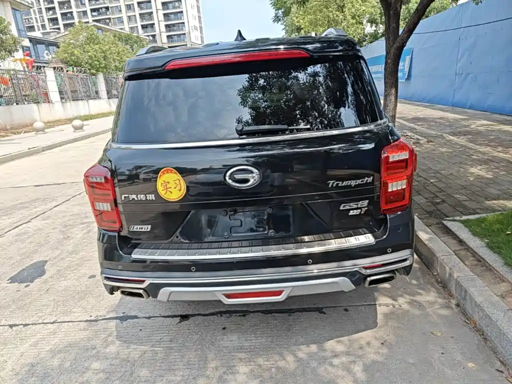 GAC Motor Trumpchi GS8 — миниатюра 6