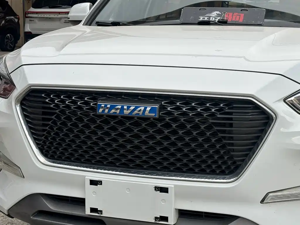 HAVAL  M6