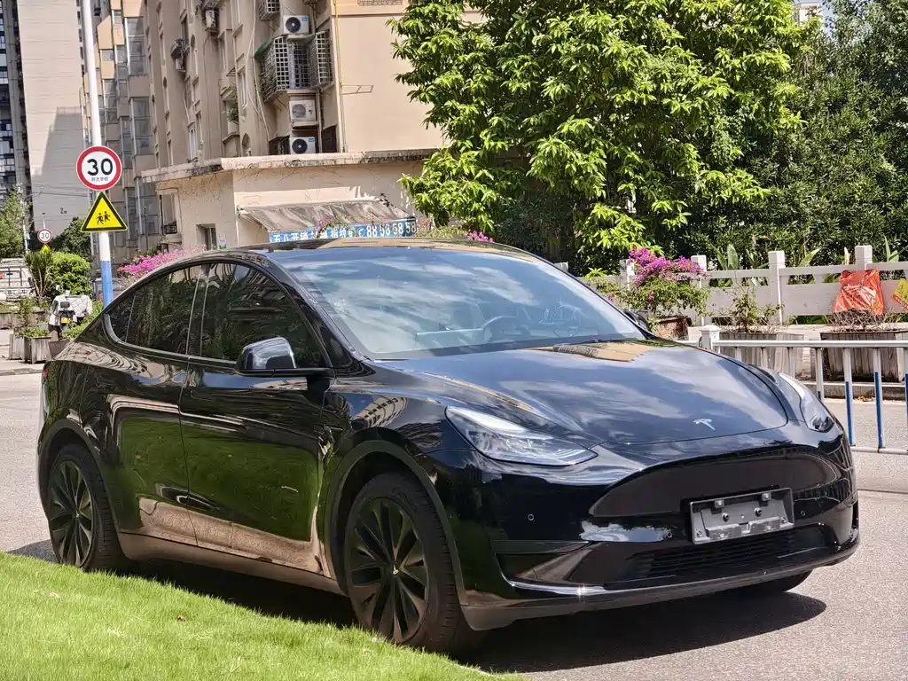 Tesla Model Y — миниатюра 3