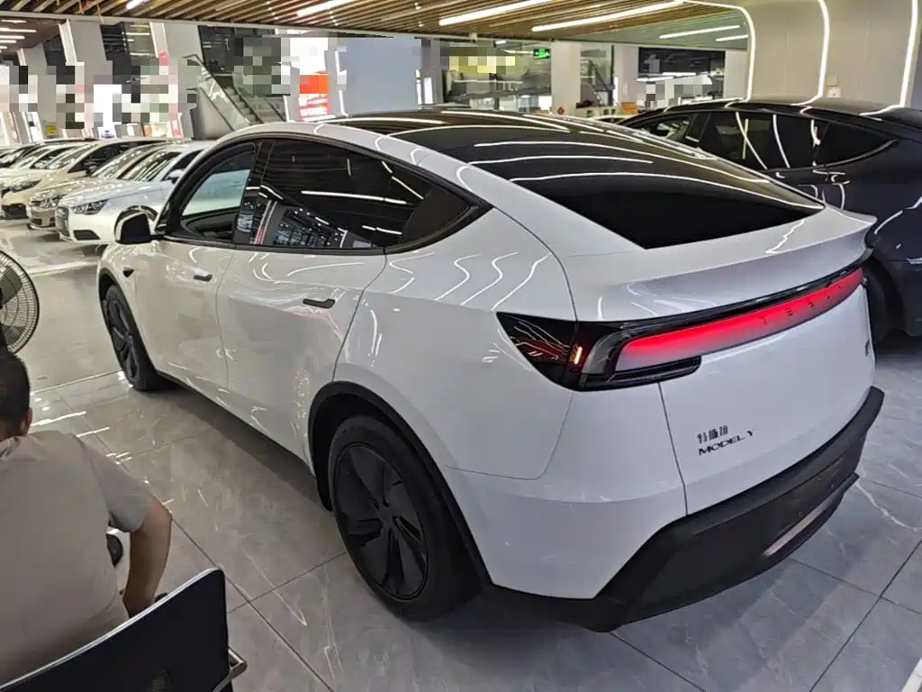 Tesla Model Y — миниатюра 5