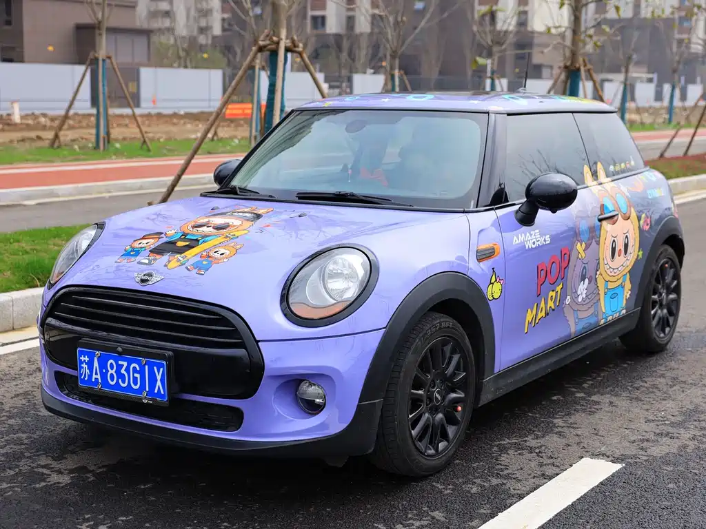 Mini Mini 2017