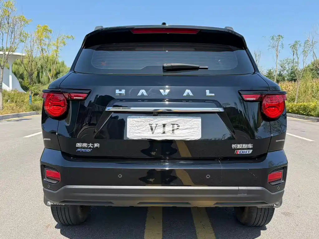 Haval Big Dog PLUS New Energy — миниатюра 8