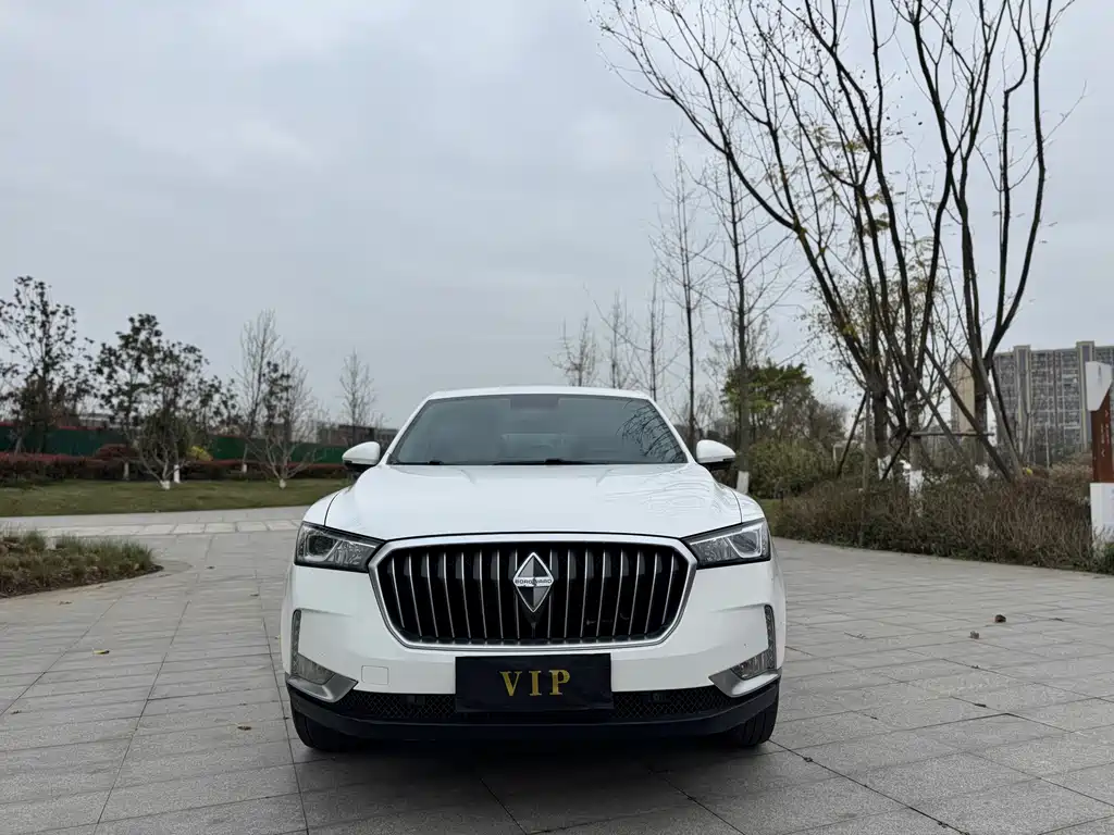 BORGWARD BAOWO BX6