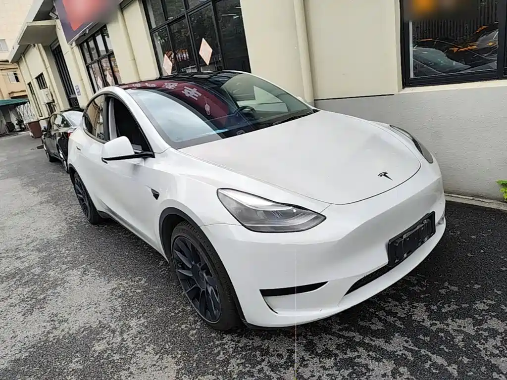 Tesla Model Y — миниатюра 4