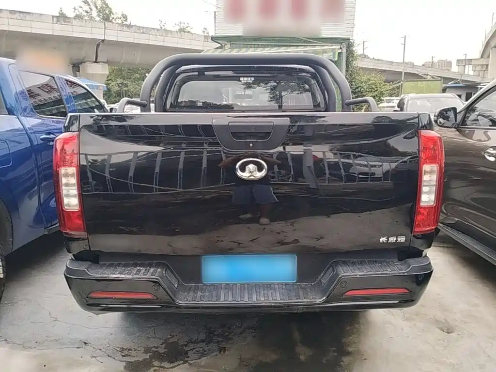 Great Wall Pao — миниатюра 6