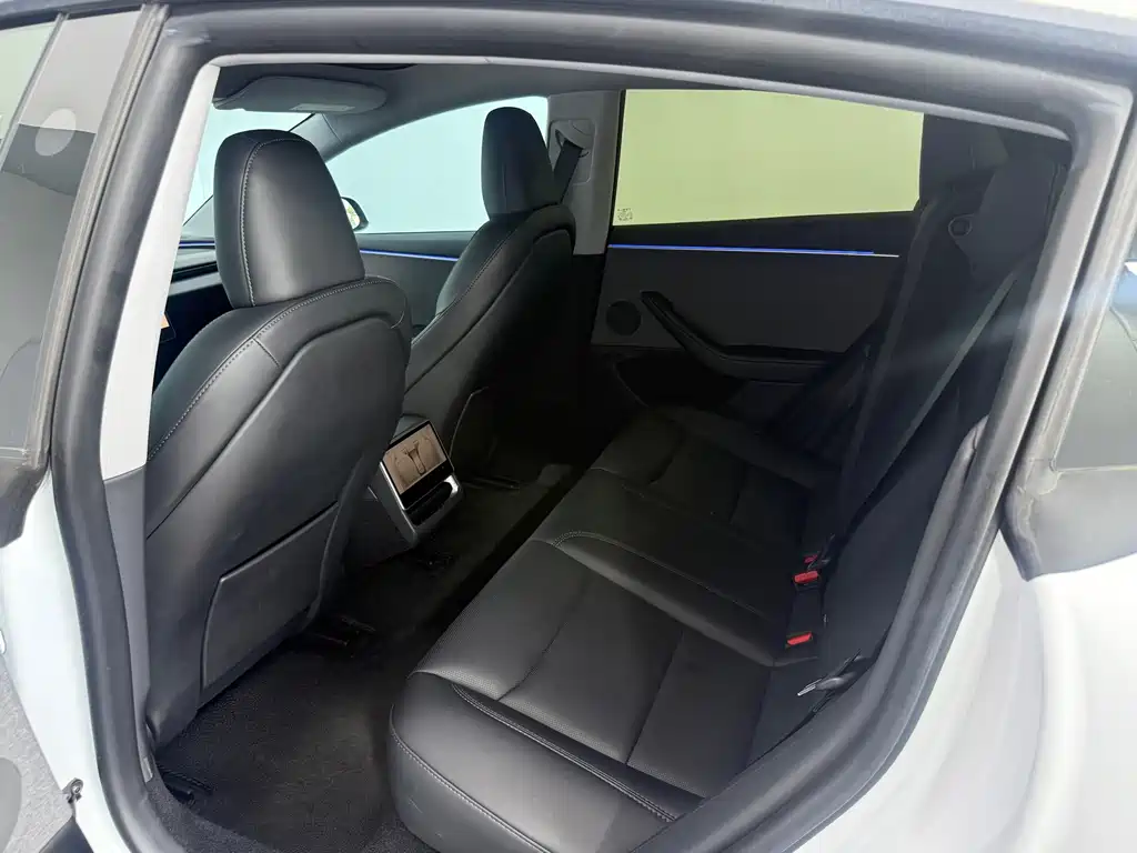 Tesla Model 3 — миниатюра 9