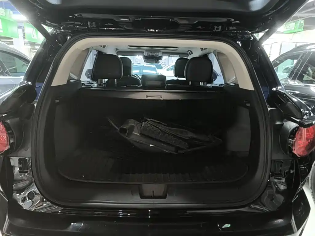 Haval Big Dog PLUS New Energy — миниатюра 19