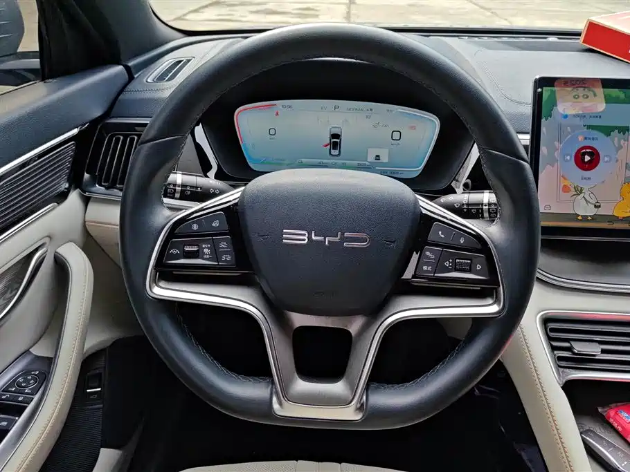 BYD SONGJIANG NEW ENERGY