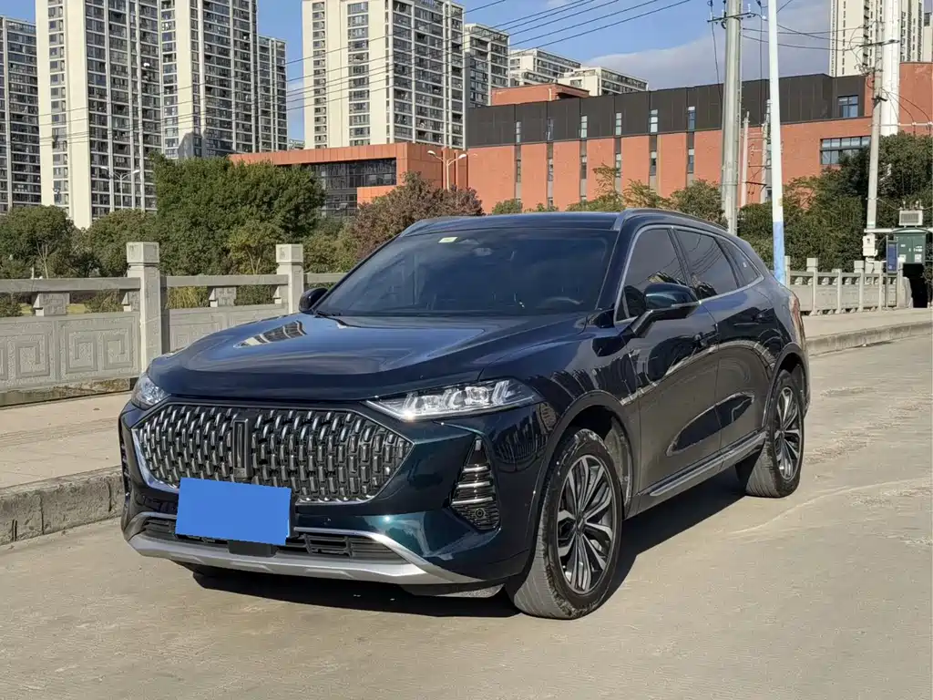 WEI PAI WEI BRAND MOCHA