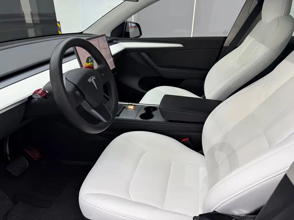 Tesla Model Y — миниатюра 4