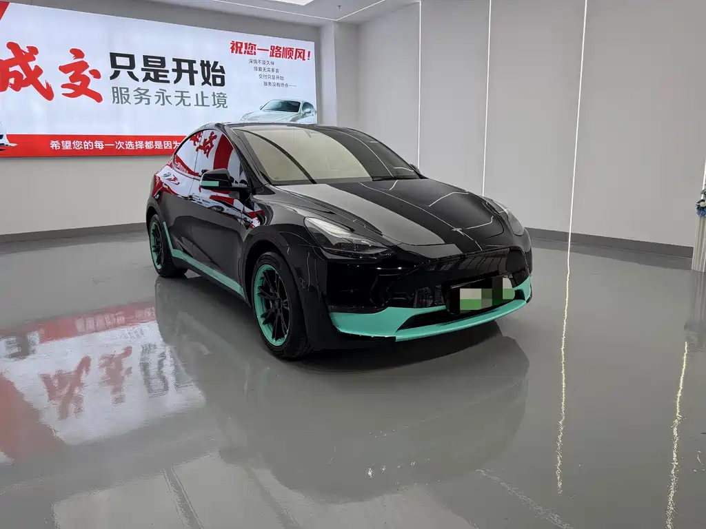 Tesla Model Y — миниатюра 3
