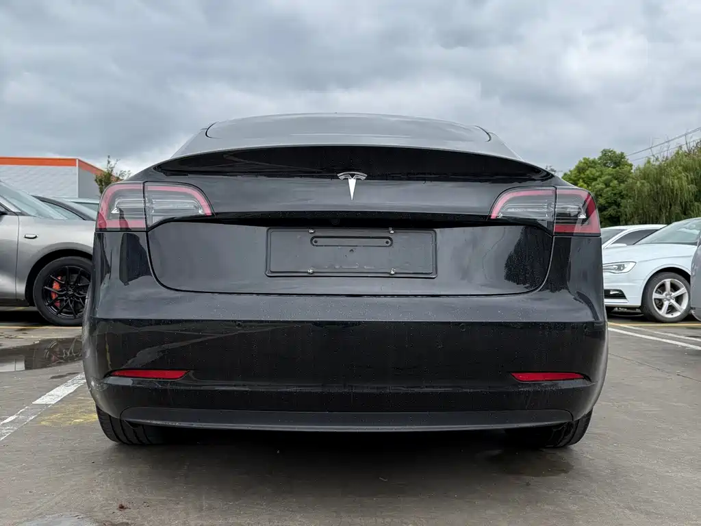 Tesla Model 3 — миниатюра 13