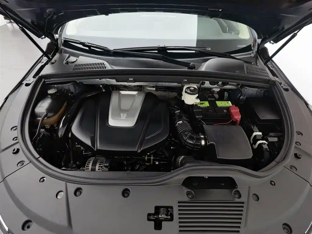 BYD Tang 2019 2.0T AT Luxury 7 мест VI