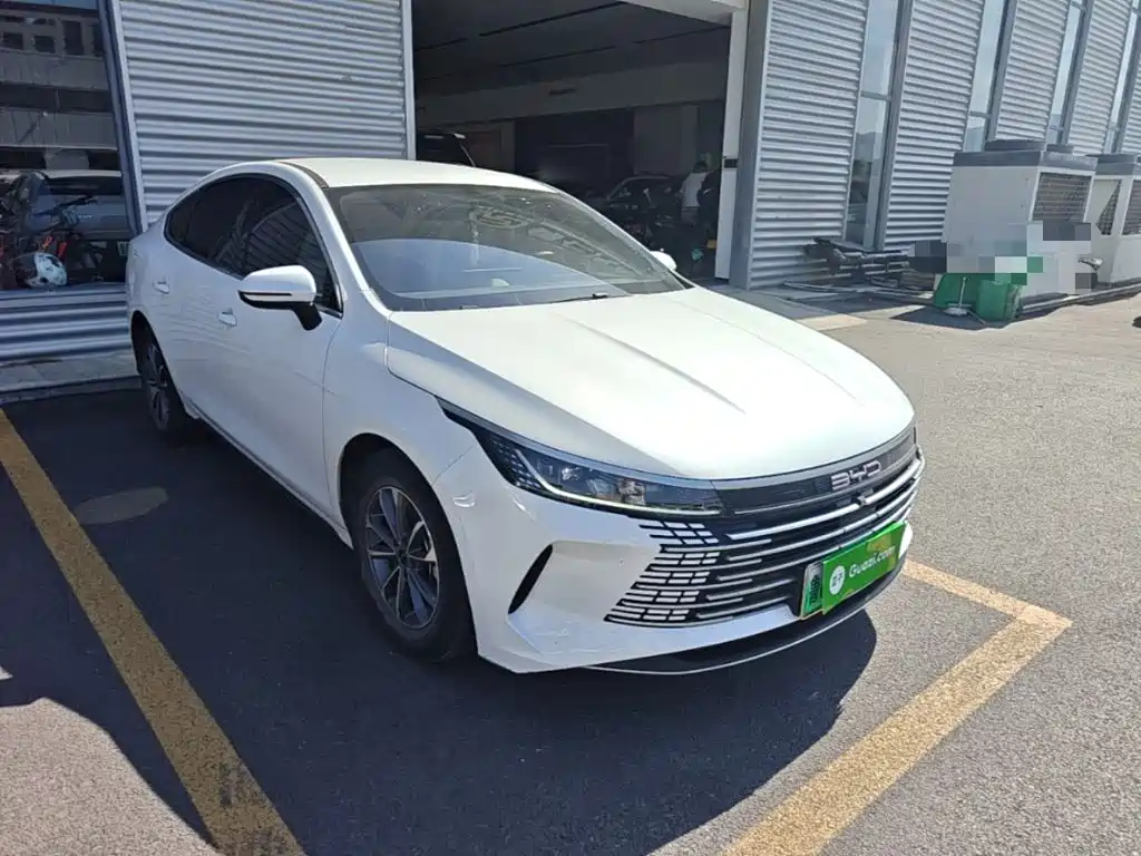 BYD Destroyer 05 2024 DM-i 55KM Luxury
