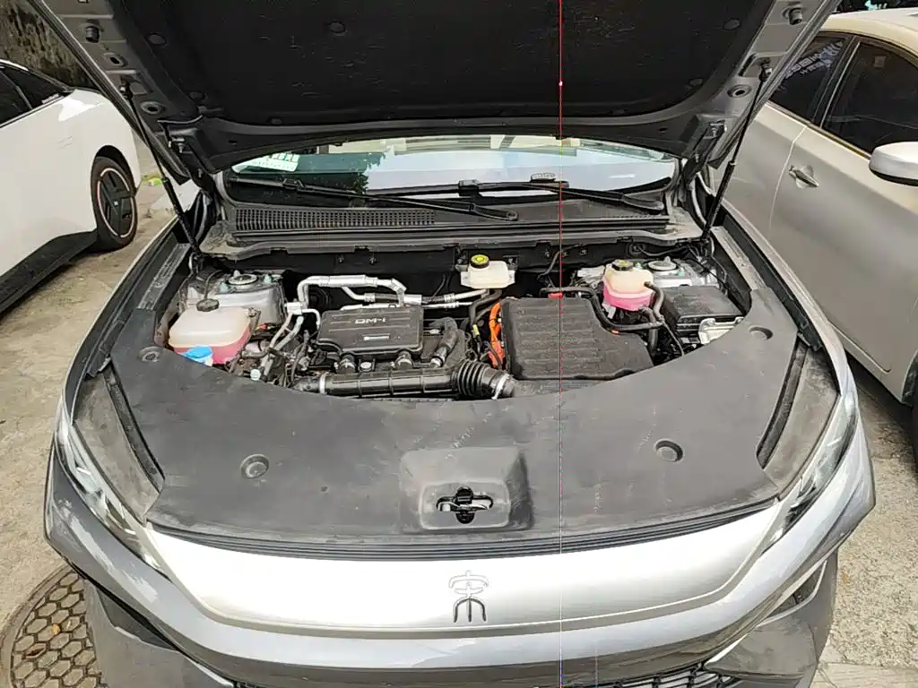 BYD Pro New Energy — миниатюра 20