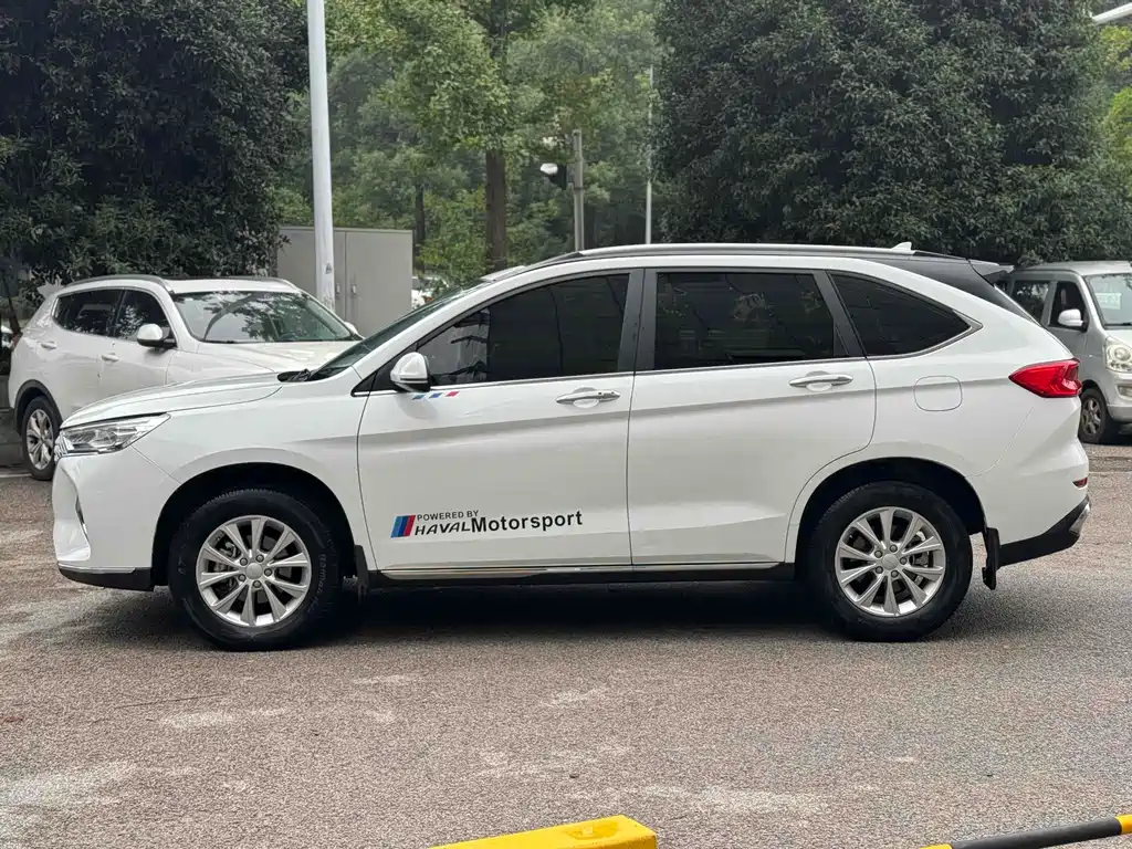 HAVAL  M6
