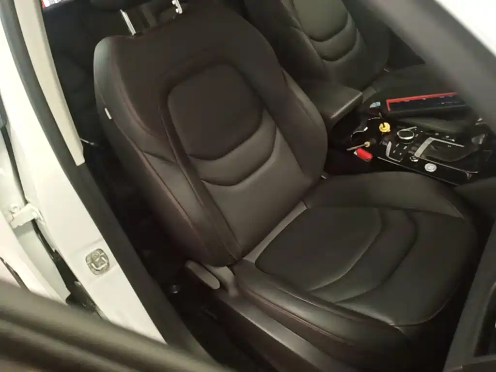 Borgward BX5 — миниатюра 25