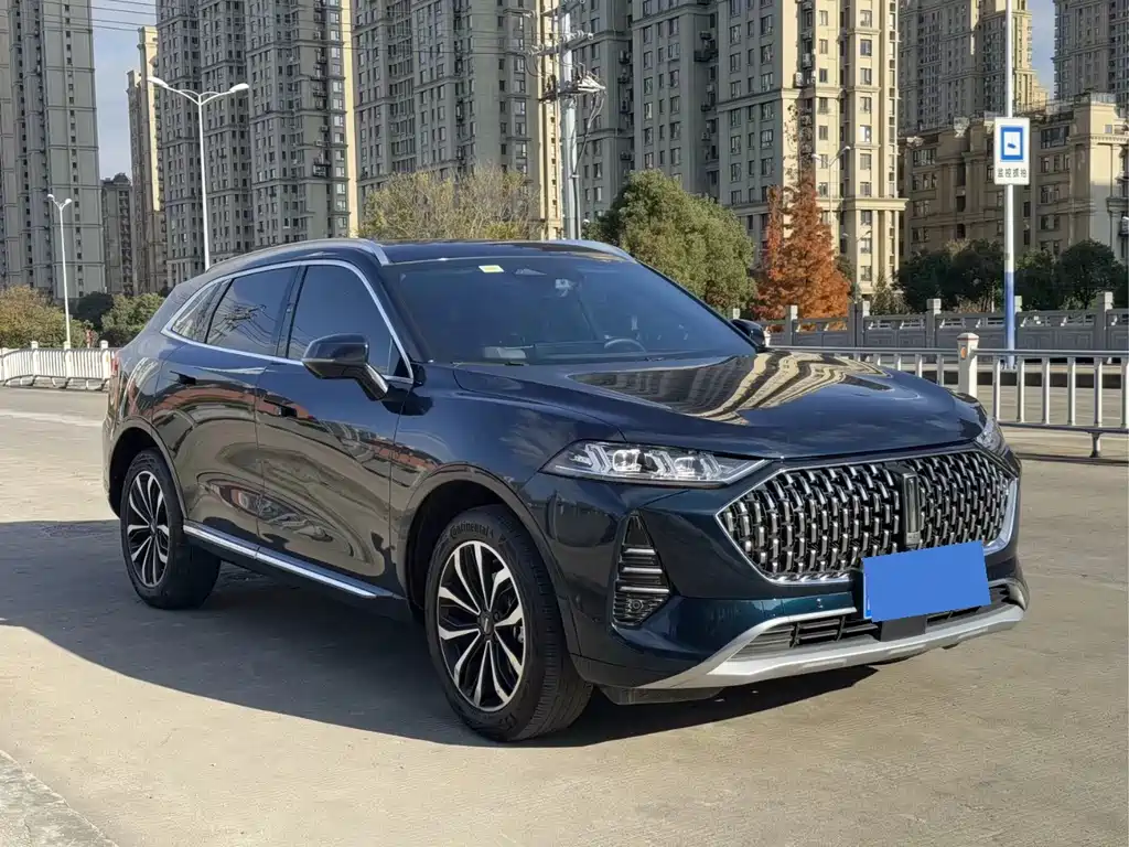 WEI PAI WEI BRAND MOCHA