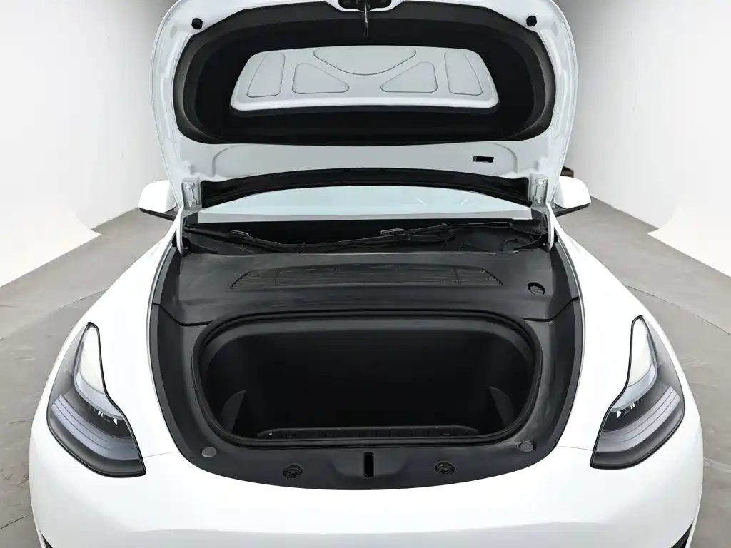 Tesla Model Y — миниатюра 17