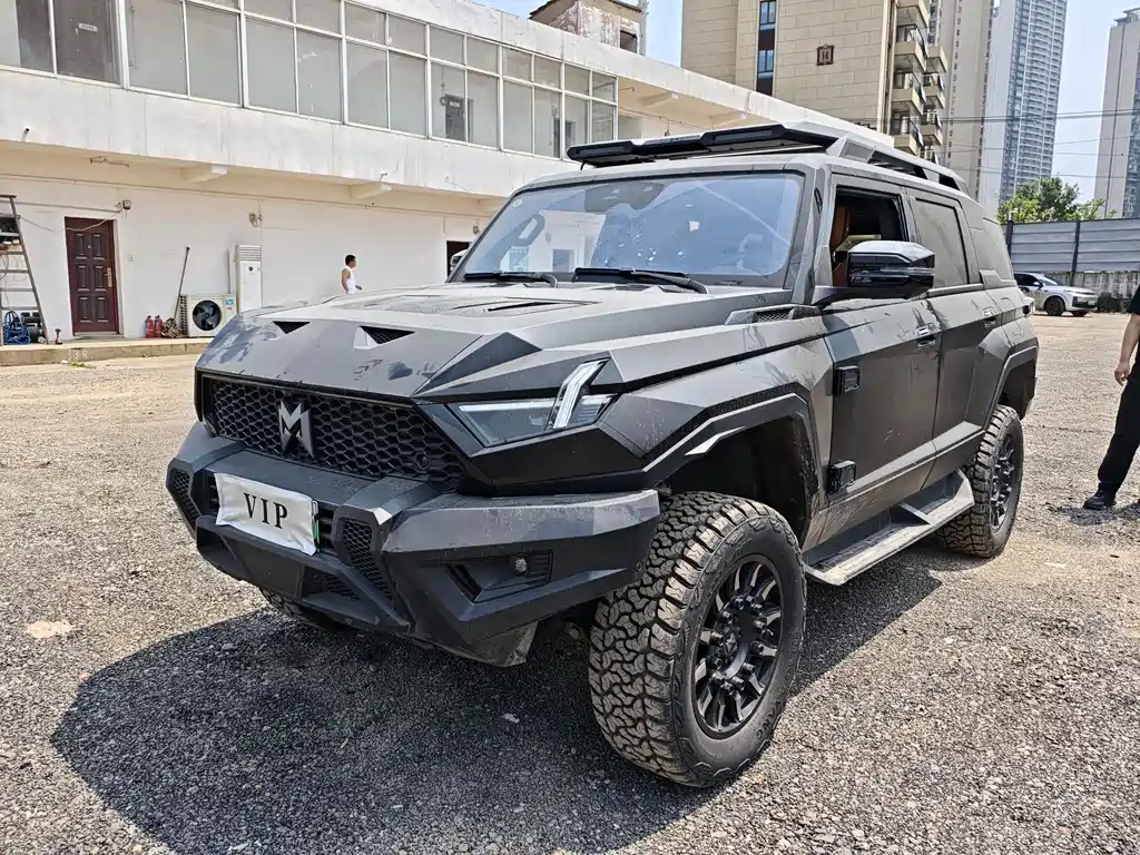 Mengshi Mengshi 917 2025