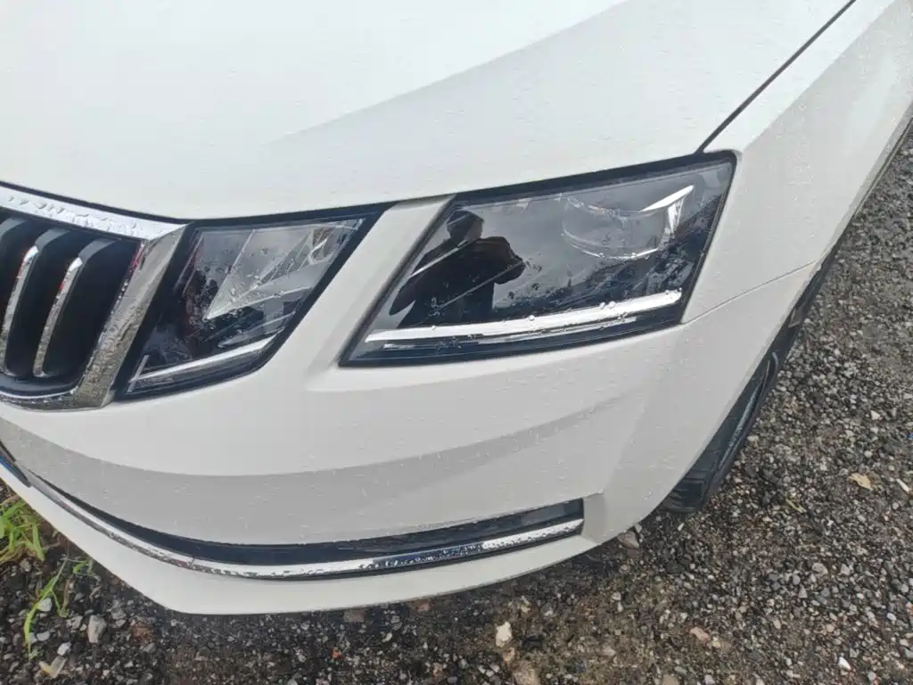 Skoda Octavia — миниатюра 24