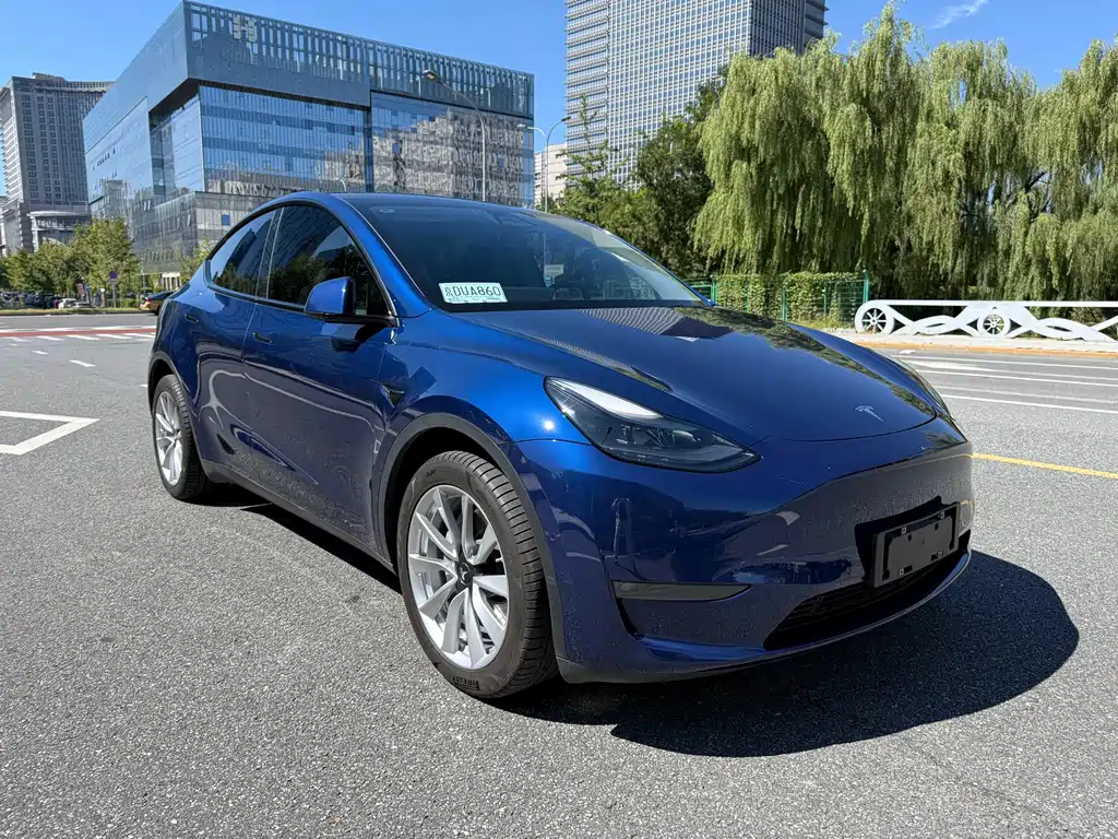 Tesla Model Y — миниатюра 3