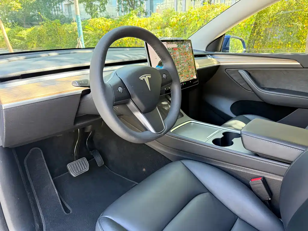 Tesla Model Y — миниатюра 10